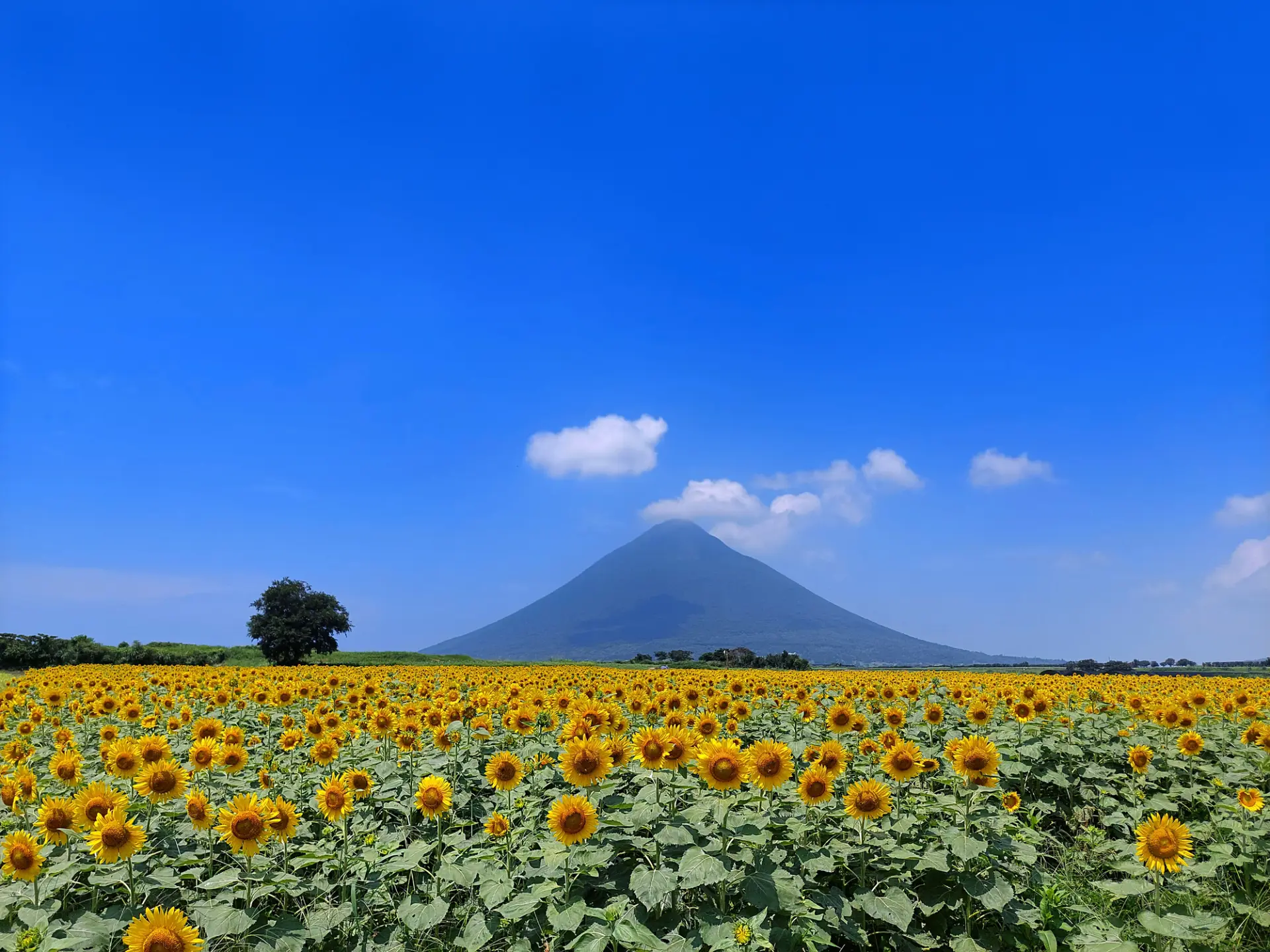 薩摩半島の最南端にそびえる活火山