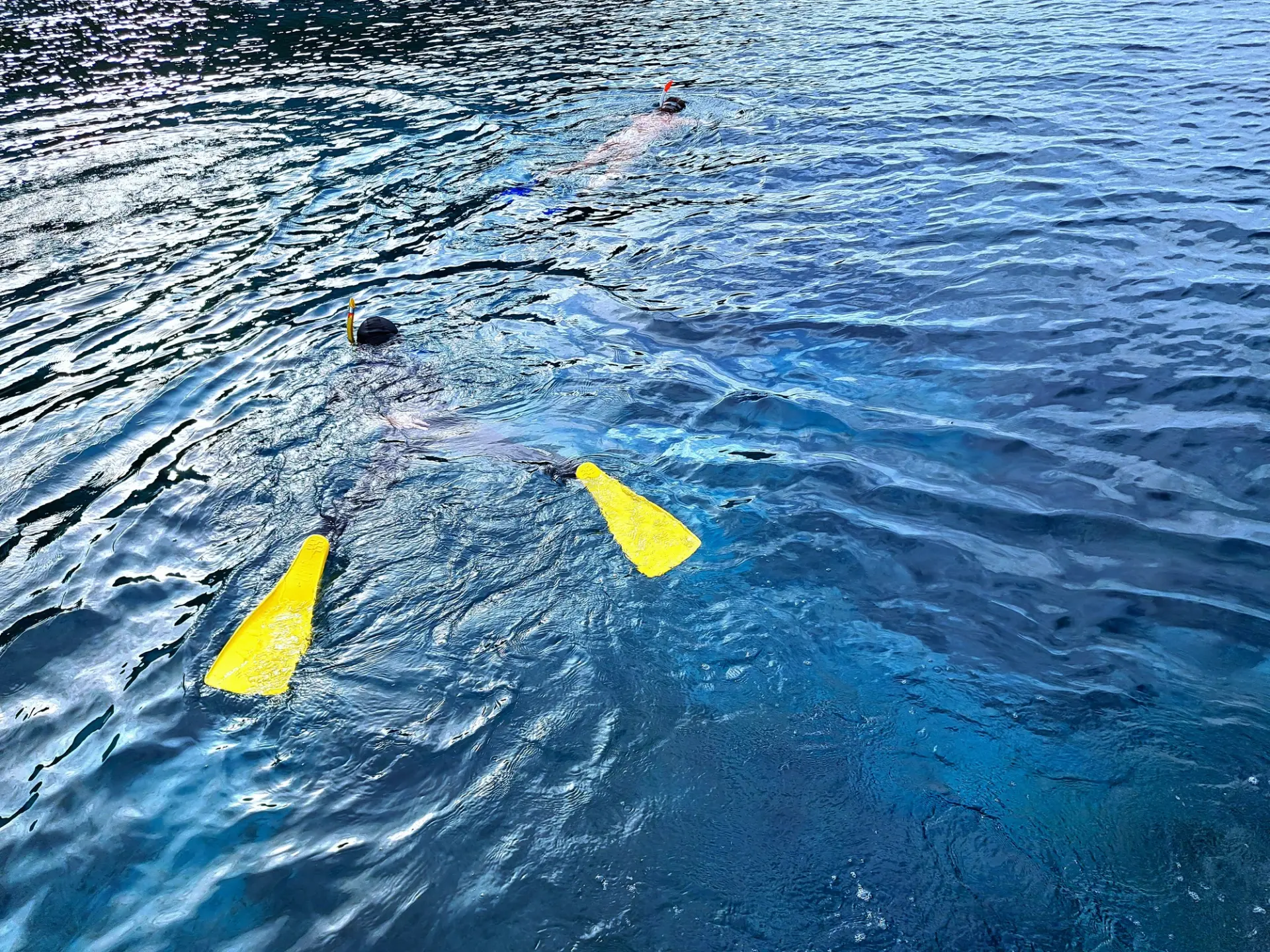透明度の高い海で、夏ならではのシュノーケリングを満喫