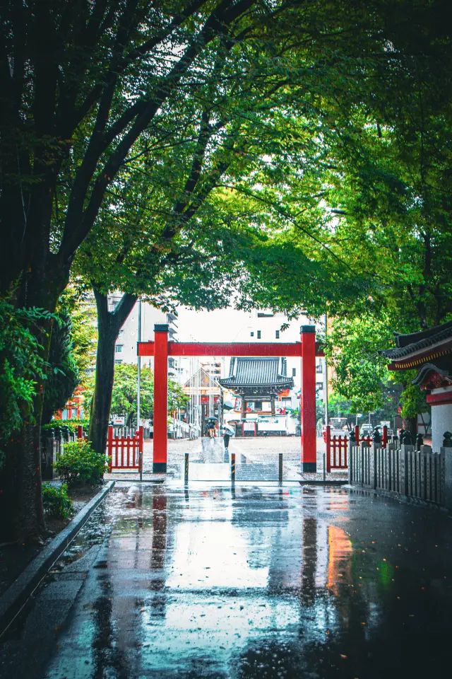 【雨の日こそ訪れたい名古屋スポット15選】名古屋の街遊びは、雨でも上々