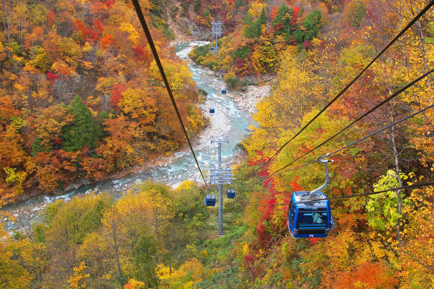 整座山染上絢麗秋色的「苗場Dragondola」紅葉美景