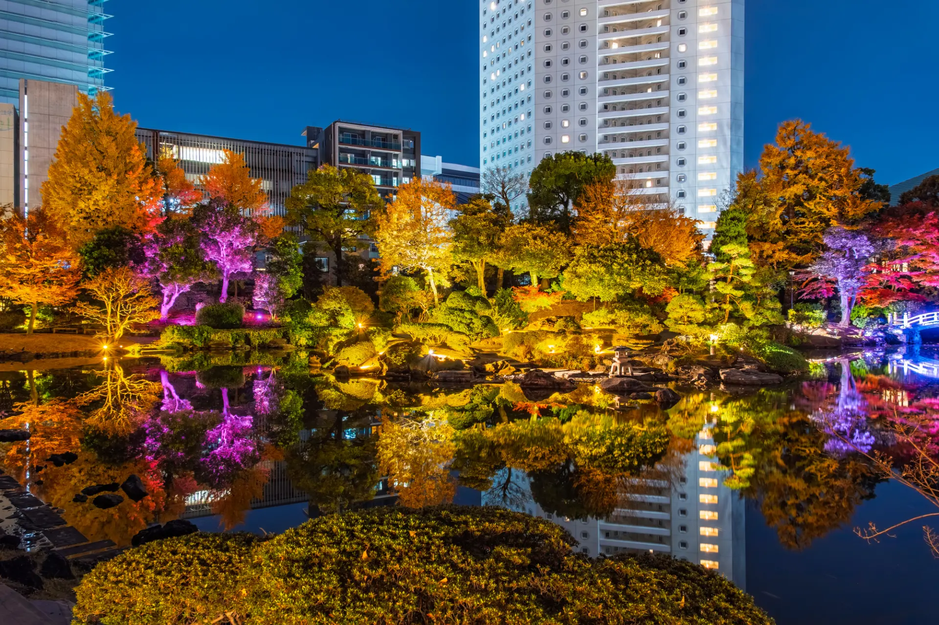 色鮮やかな紅葉と光が織りなす幻想的な庭園風景