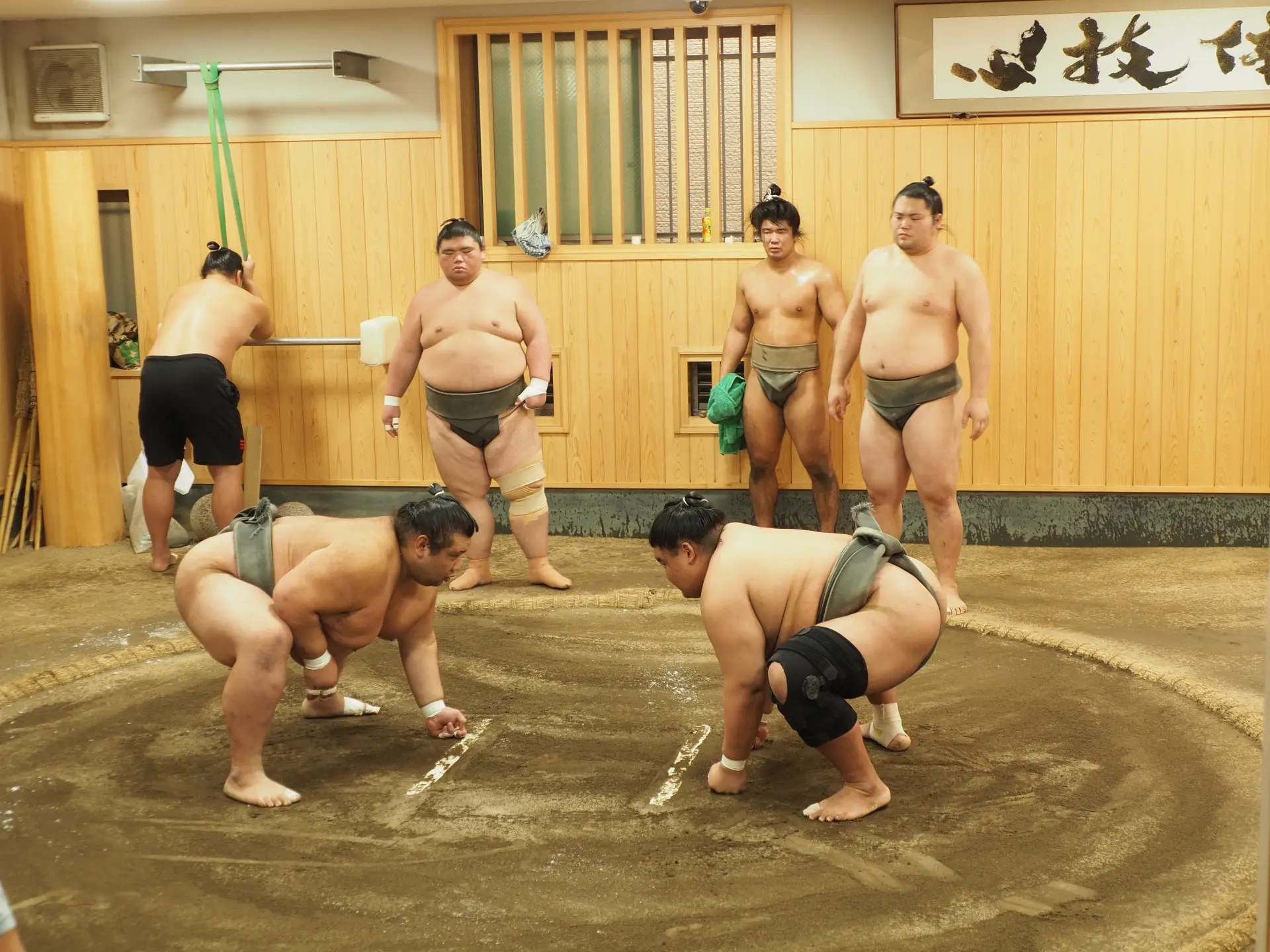 本場所の取り組みさながらの稽古を、間近で見学できる