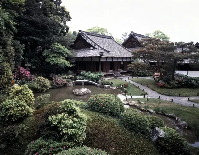 擁有國寶青不動與池泉回遊式庭園，與皇室淵源深厚的門跡寺院