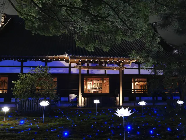 「青蓮華夏日點燈」活動指南：在「青蓮院門跡」感受京都夏夜的特別體驗