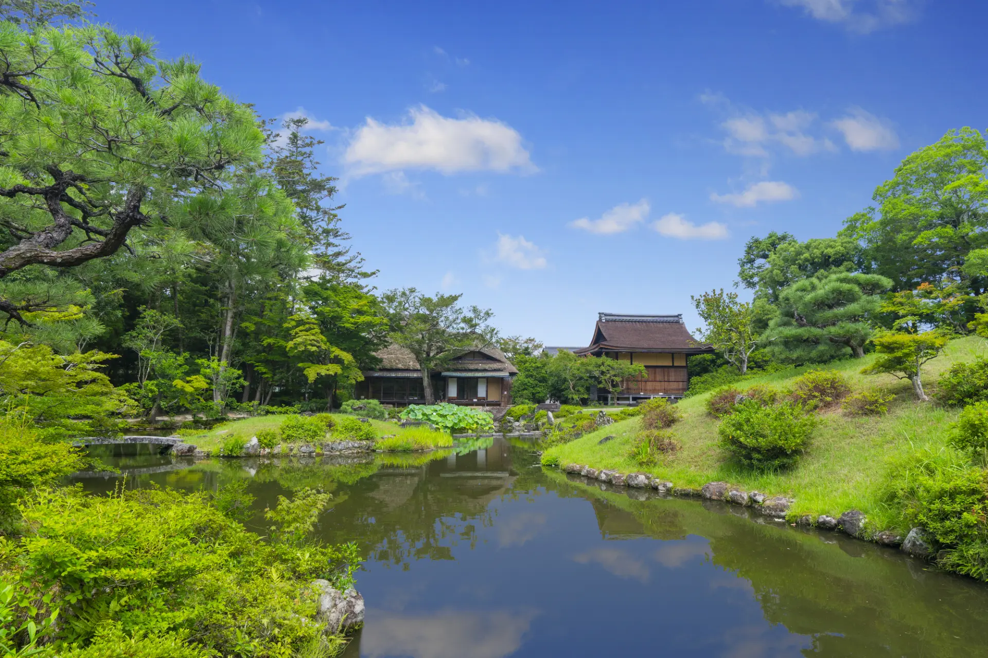 奈良公園の北側、日本の庭園美を楽しめる依水園