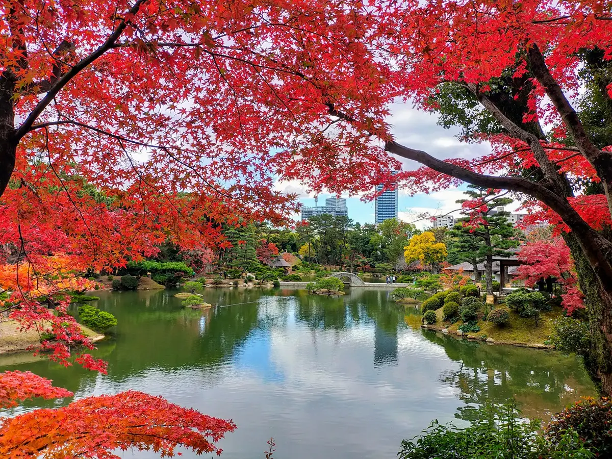 In autumn, vivid foliage colors the garden.