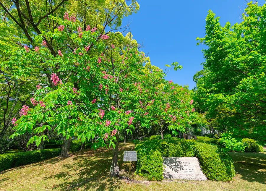 A horse chestnut tree donated by Picasso’s son stands in the front garden