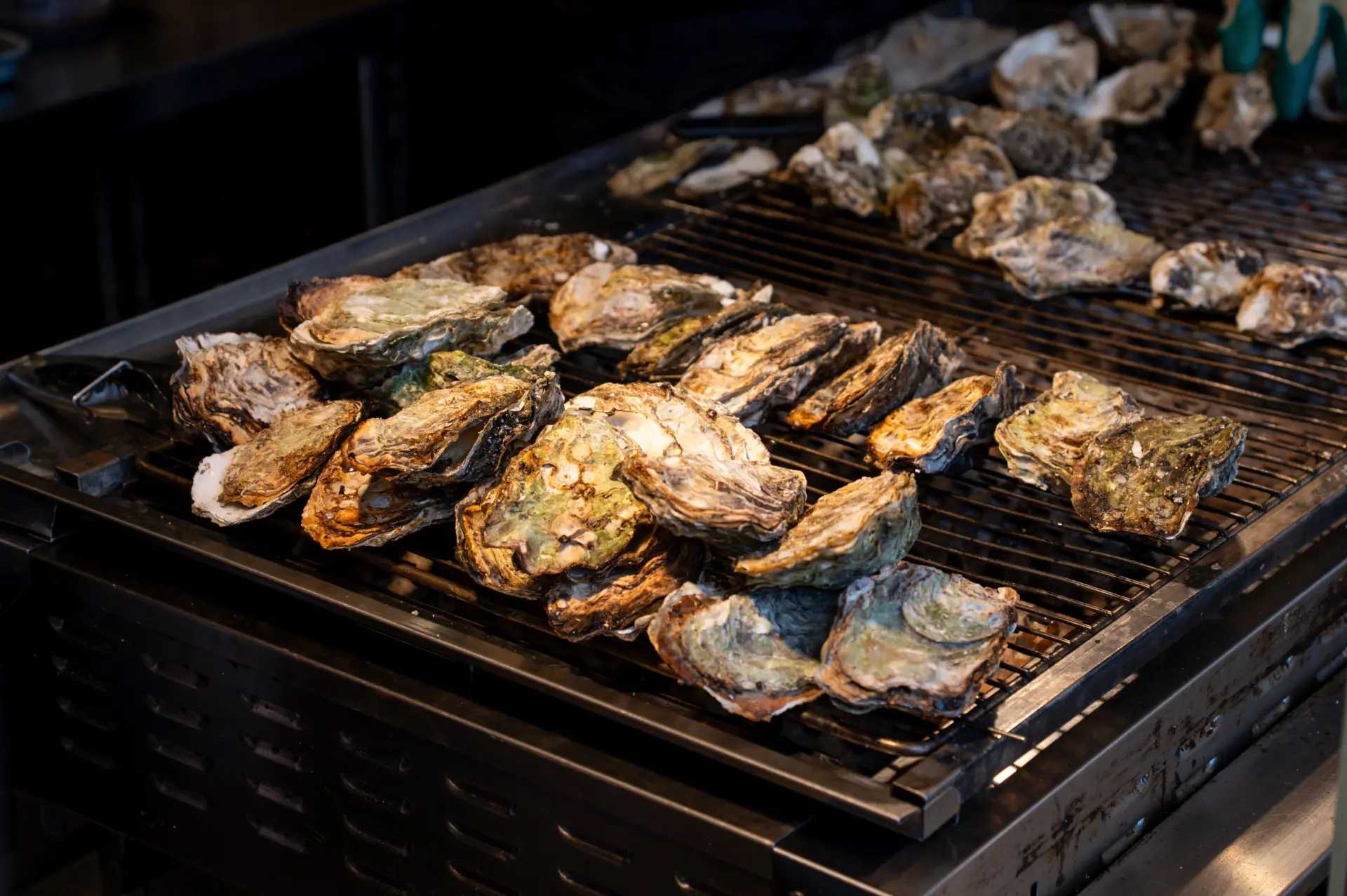 Freshly grilled oysters are packed with umami and absolutely delicious.