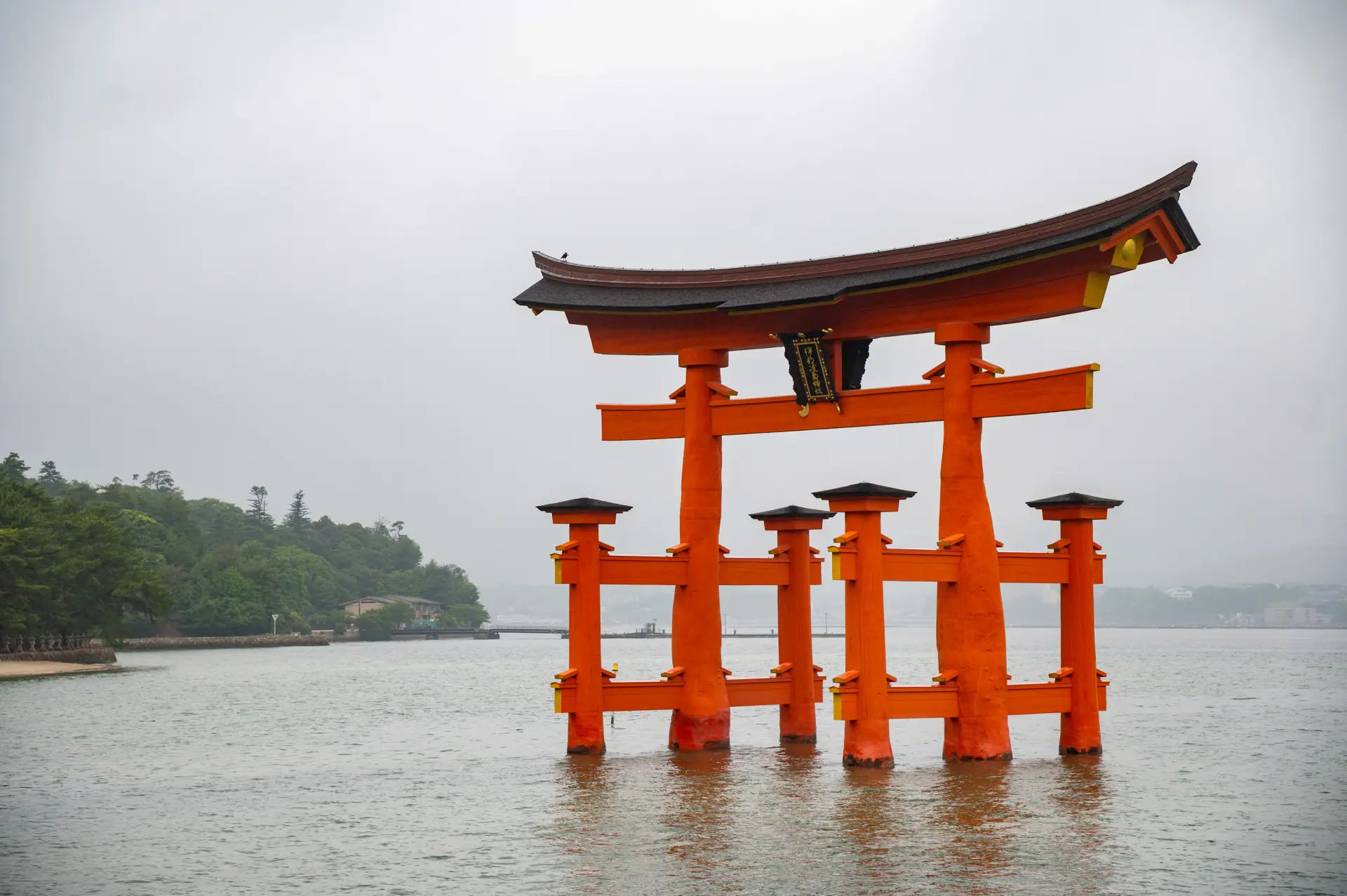 Experience the power of this World Heritage Site up close.