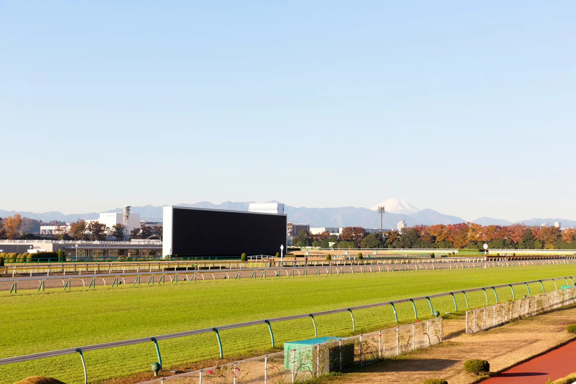 日本最大規模の競馬場