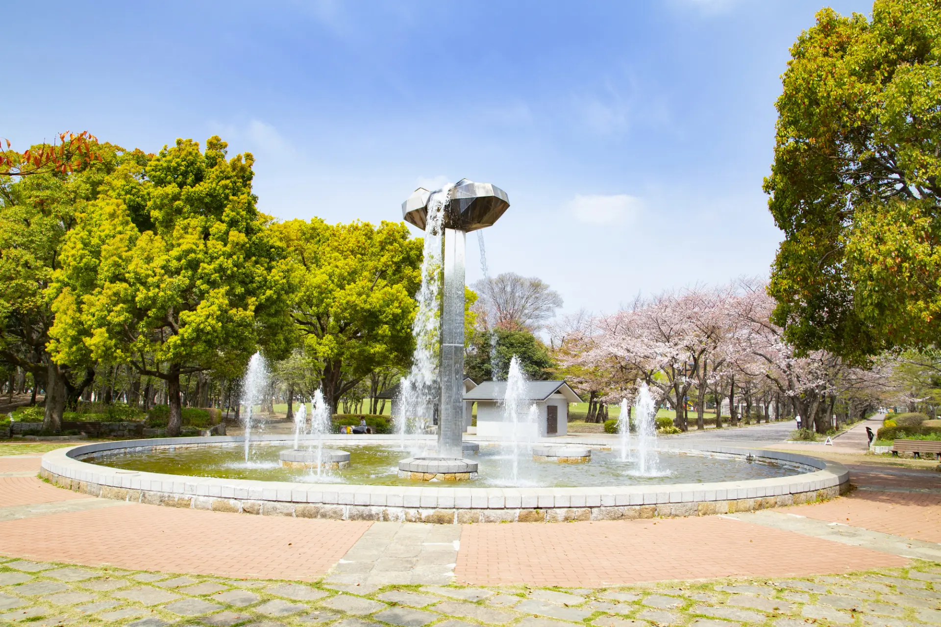 森と丘と水辺のあるファミリースポーツ公園