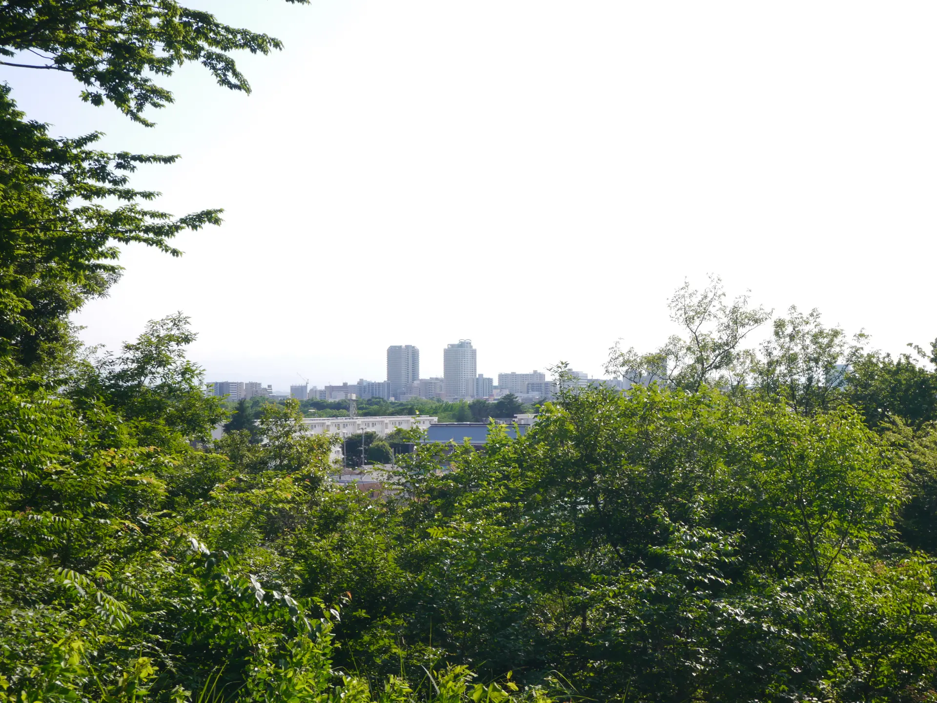 標高80mの浅間山を中心とする自然豊かな公園