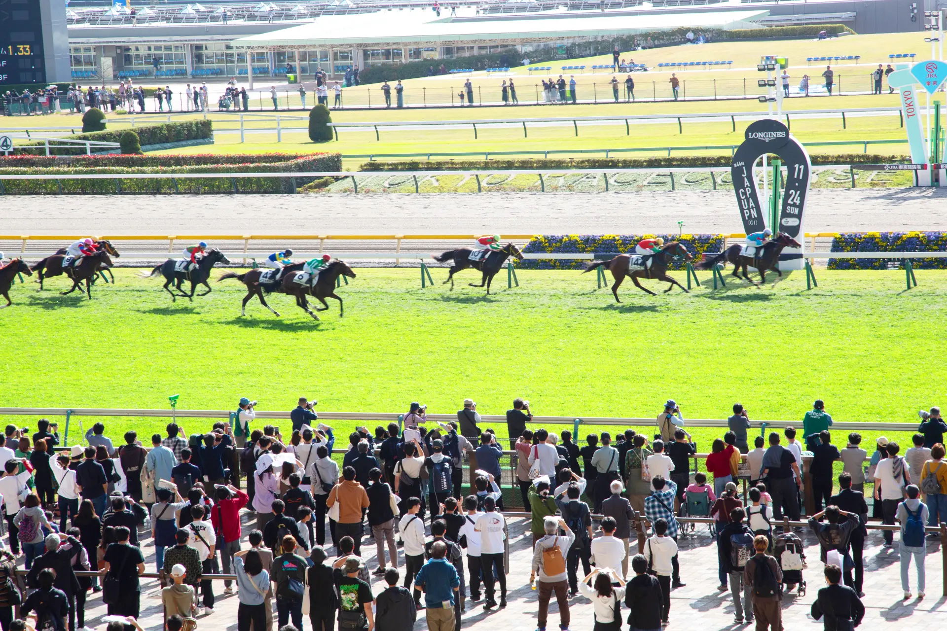 東京競馬場