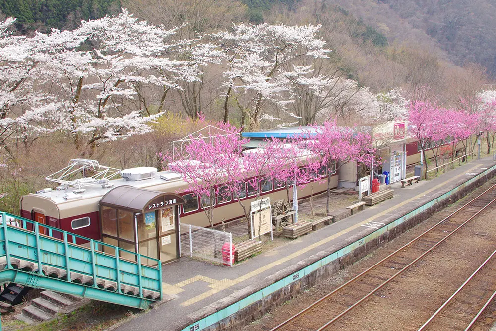 まるで停車中の列車のようなレストラン
