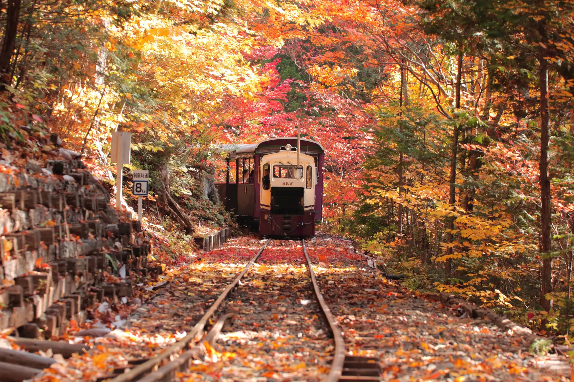 紅葉の時期も見もの