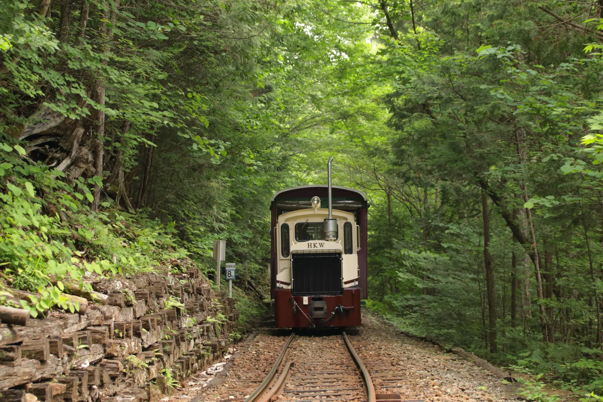 列車のスピードが時速7km前後とかなりゆっくり。落ち着いて撮影できる