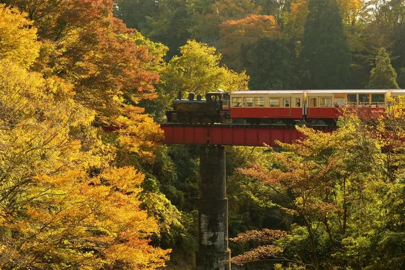 山間部は秋も見ものだ