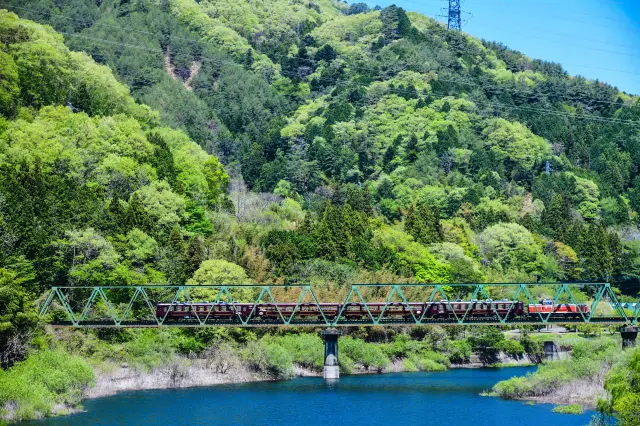 夏〜秋に乗りたい！トロッコ列車4選（東日本編）