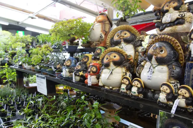 店内也摆设有在日本深受喜爱的吉祥物・信乐烧的狸猫摆饰