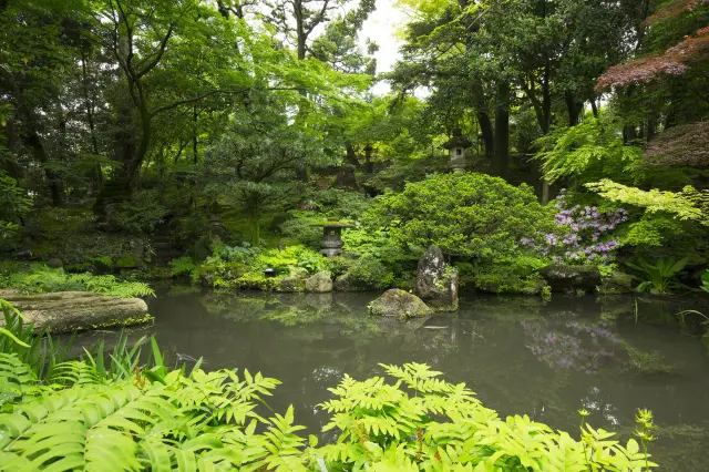 緑豊かな木々に囲まれた「西田家庭園 玉泉園」の本庭