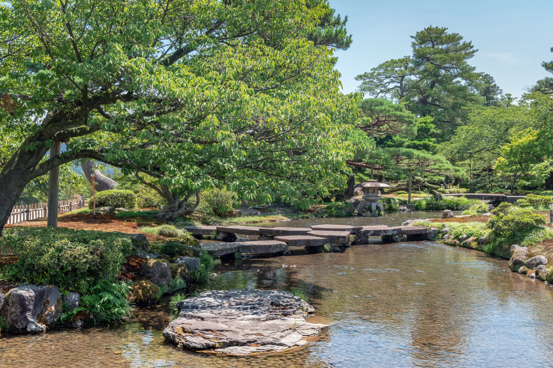 木々がつくる木陰を歩きながら、日本庭園の美しさを堪能