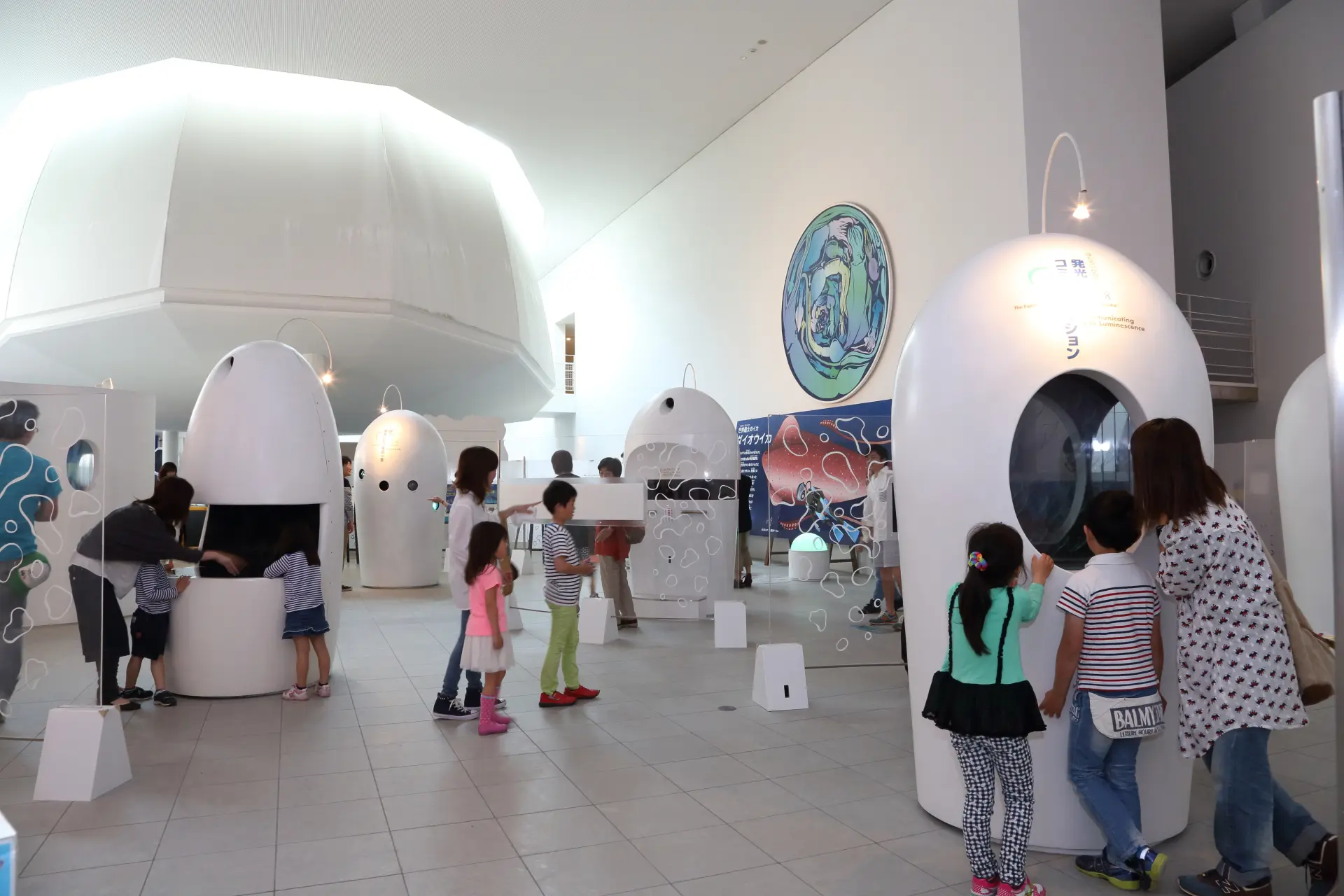 展示ホールではホタルイカの生態を楽しく学べる