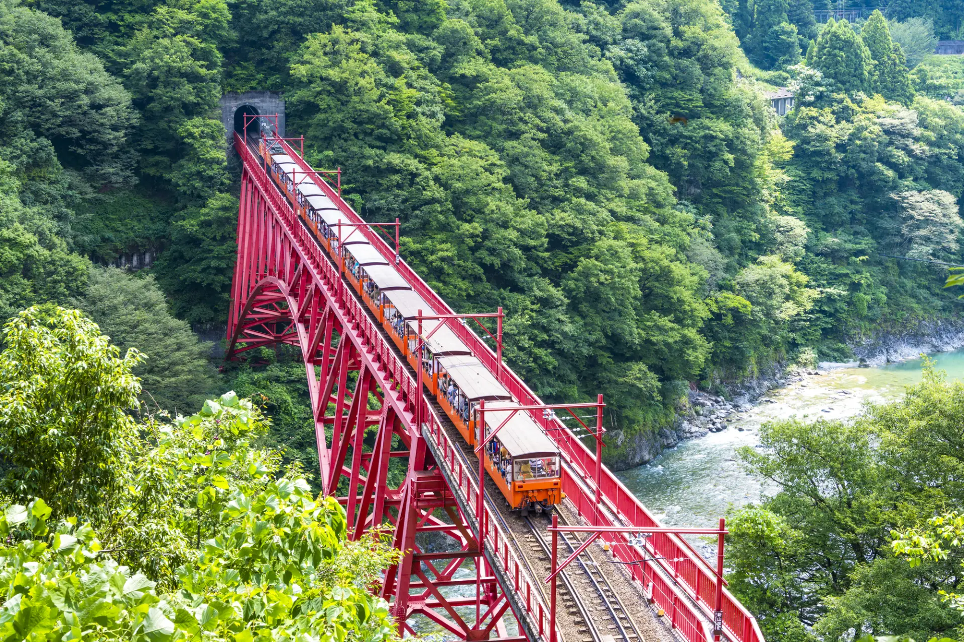 黒部峡谷の大自然をトロッコ電車で満喫できる