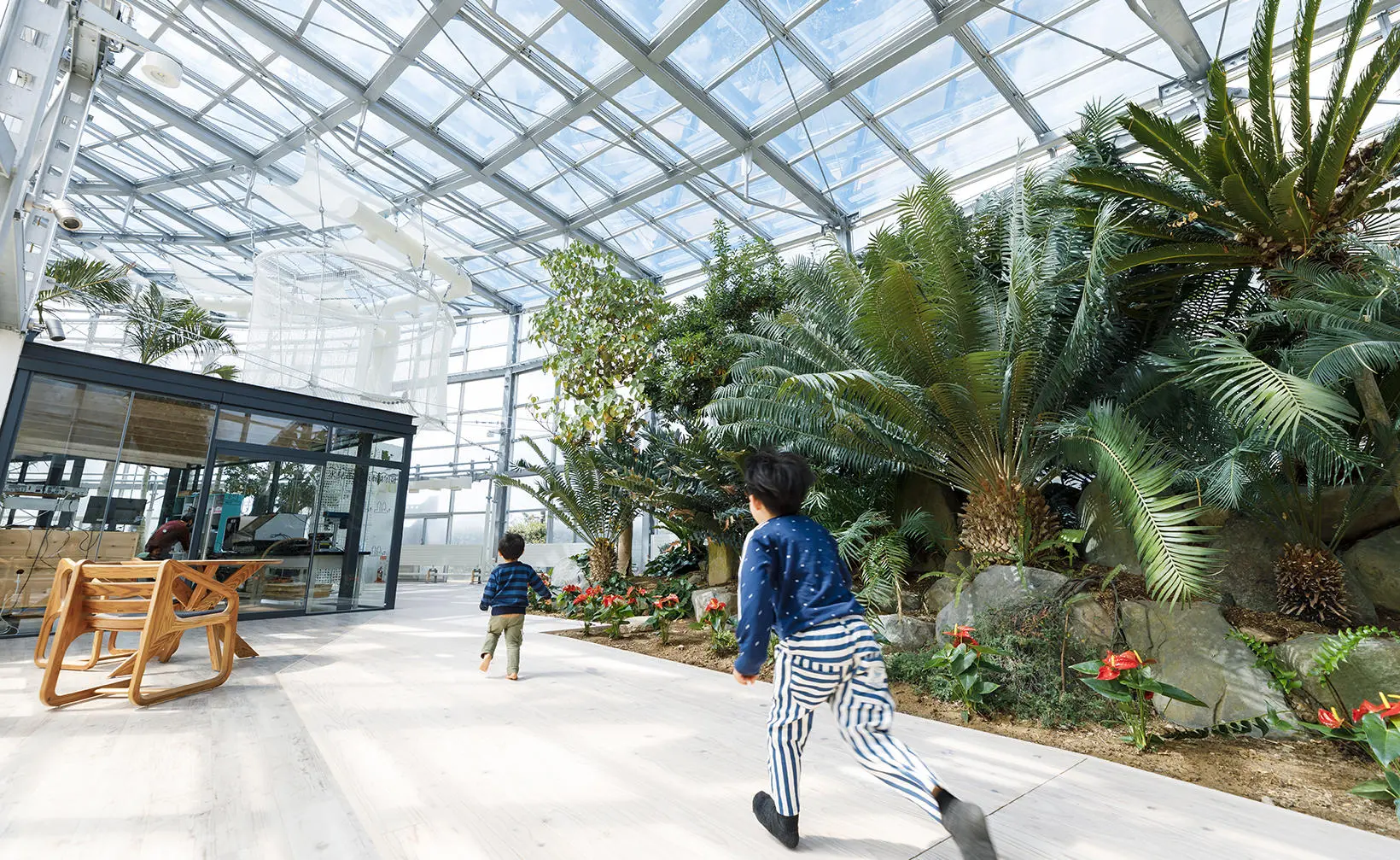 温室では珍しい外国産の植物なども展示