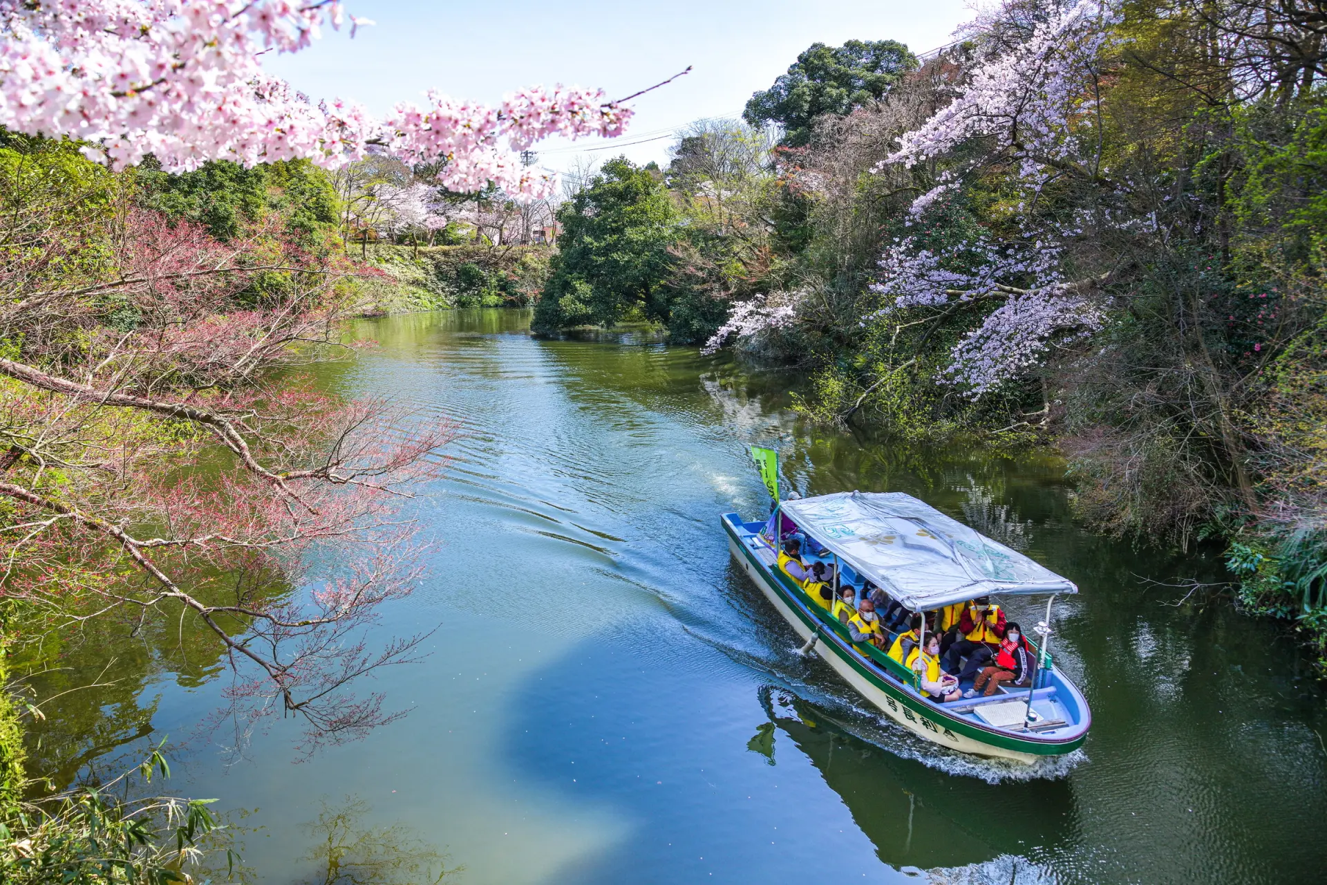遊覧船でのお掘りめぐりで、季節の景色を楽しむことも
