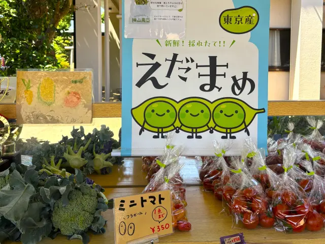 旬の夏野菜はとびきりのおいしさ