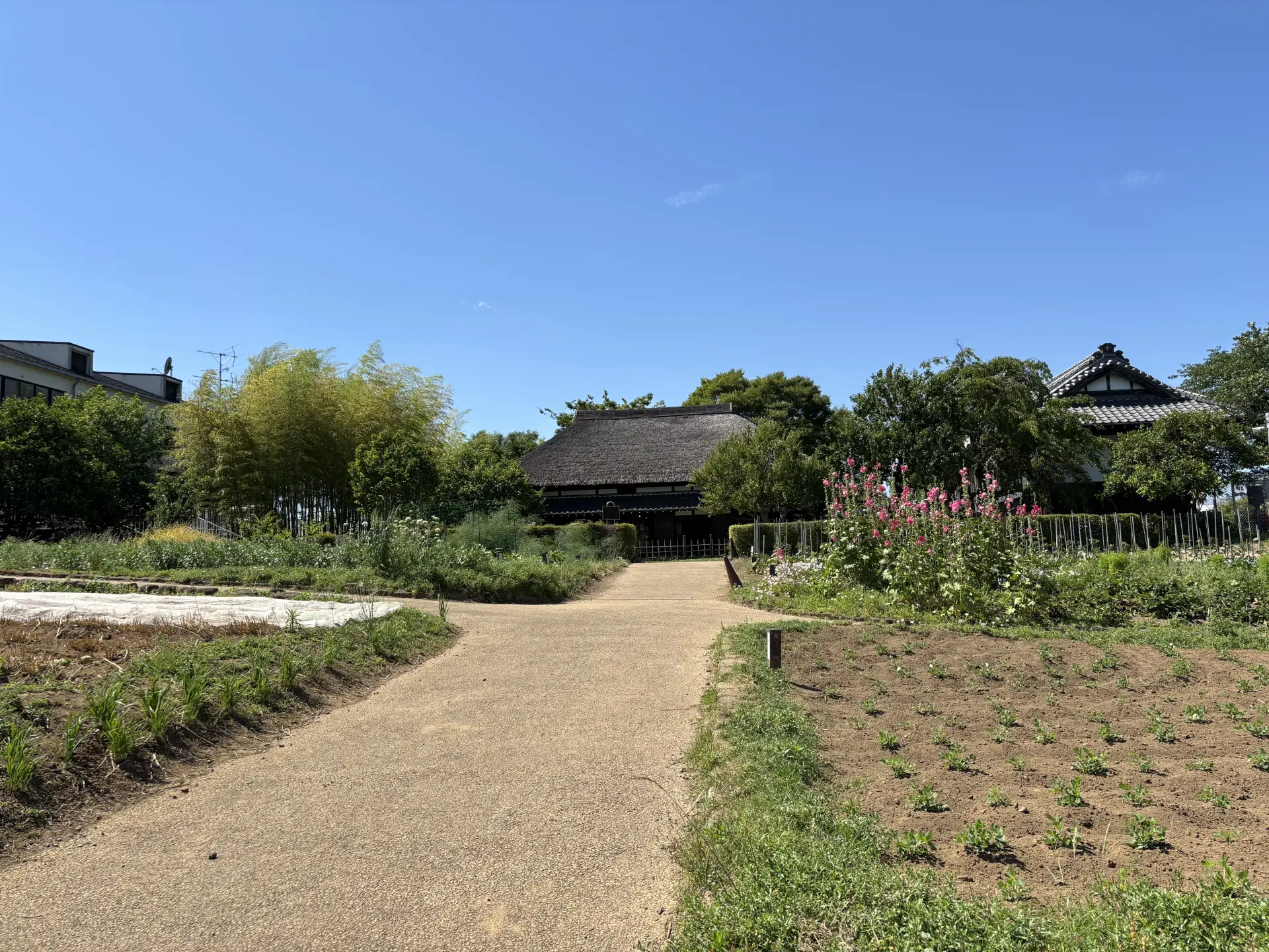 都市農業公園内の古民家周辺には田園風景が広がる