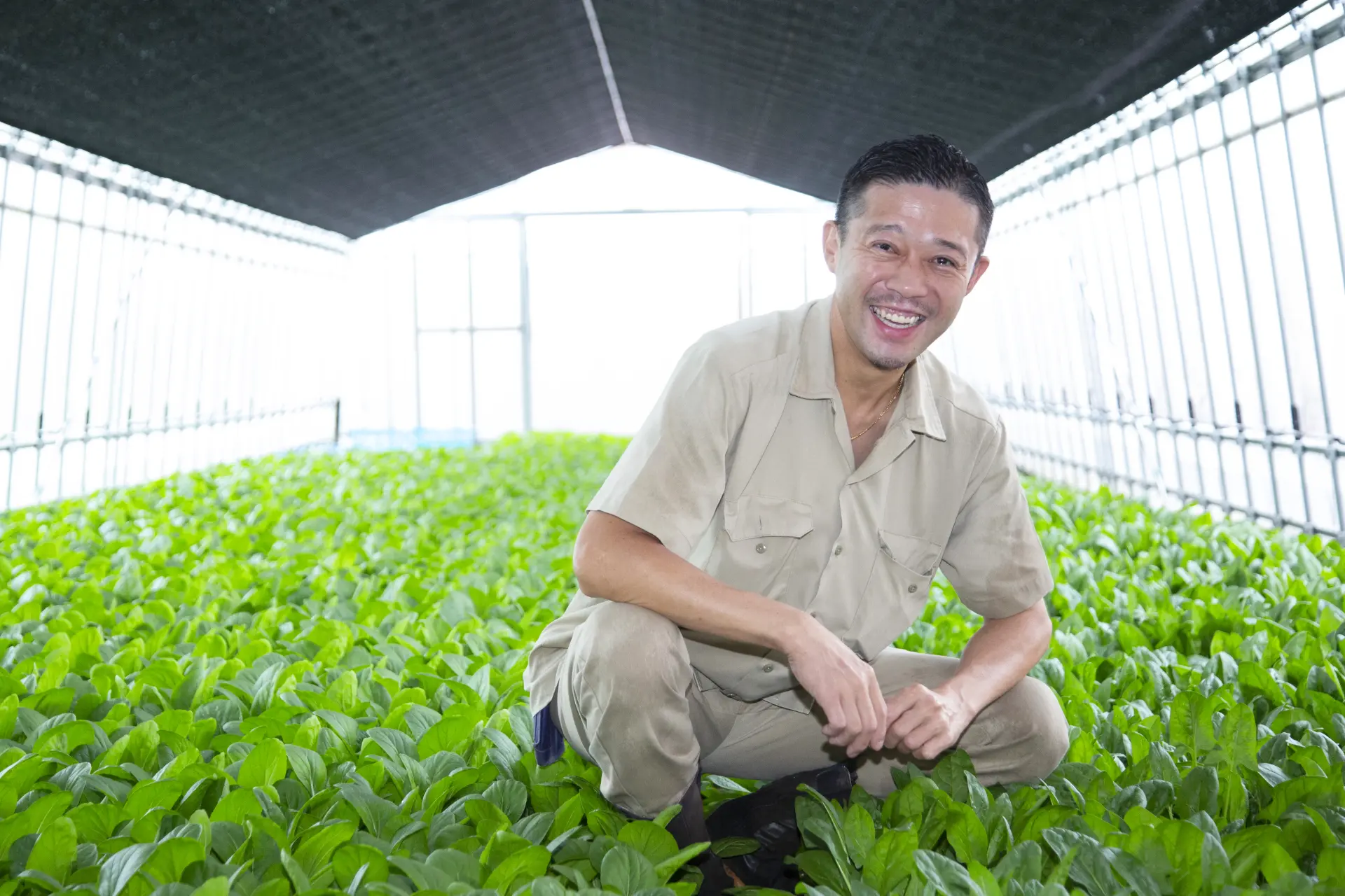 たくさんの東京野菜を育てるいちかわファームの市川さん