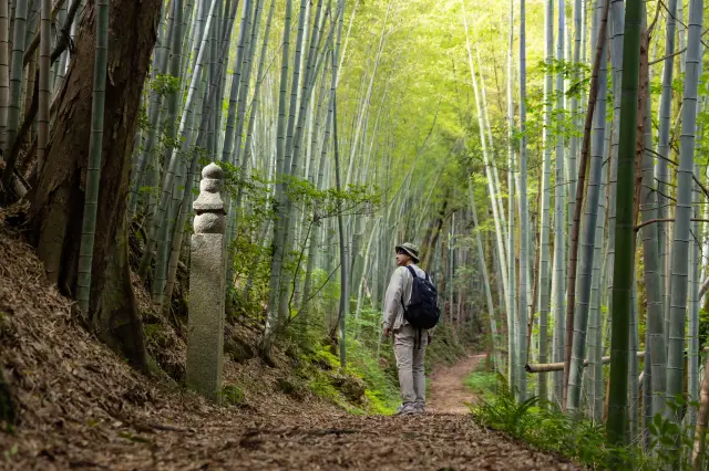 【九度山・高野山3DAY建議行程】由九度山前往高野山。漫步世界遺產・町石道之旅