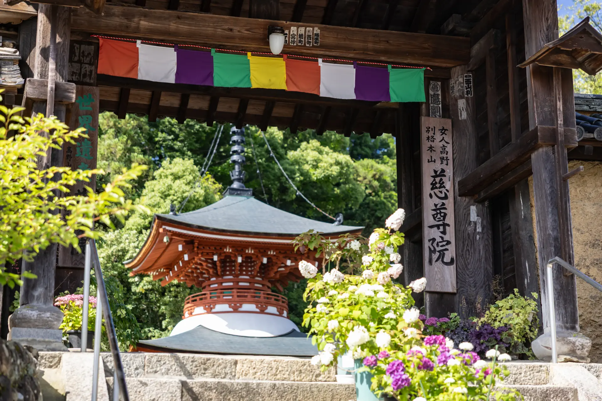 Jison-in Temple, a World Heritage component site and the starting point of the Choishimichi Pilgrimage Route