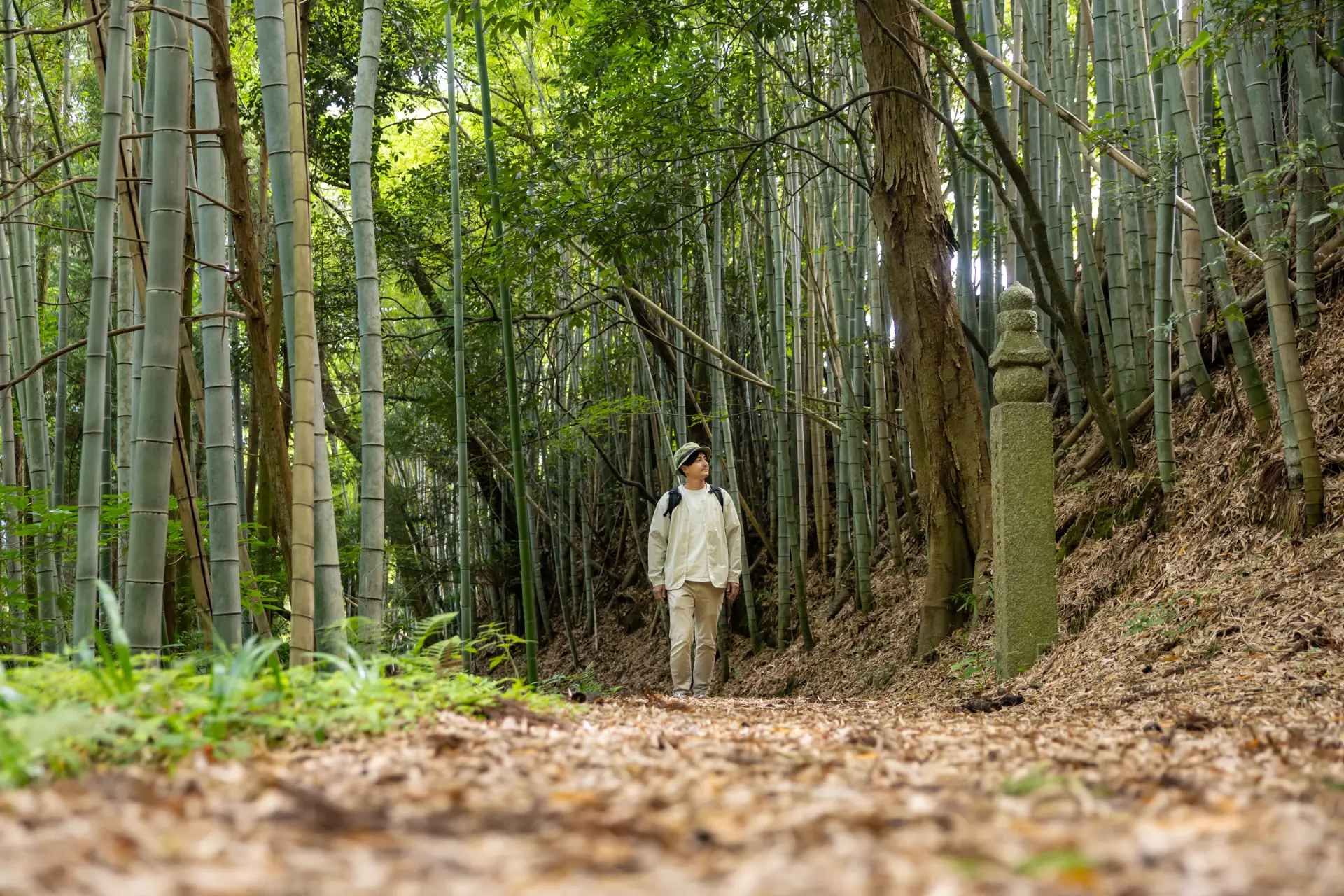 Walk the historic pilgrimage route while enjoying the silence of the bamboo groves and the refreshing air of the cedar forest.