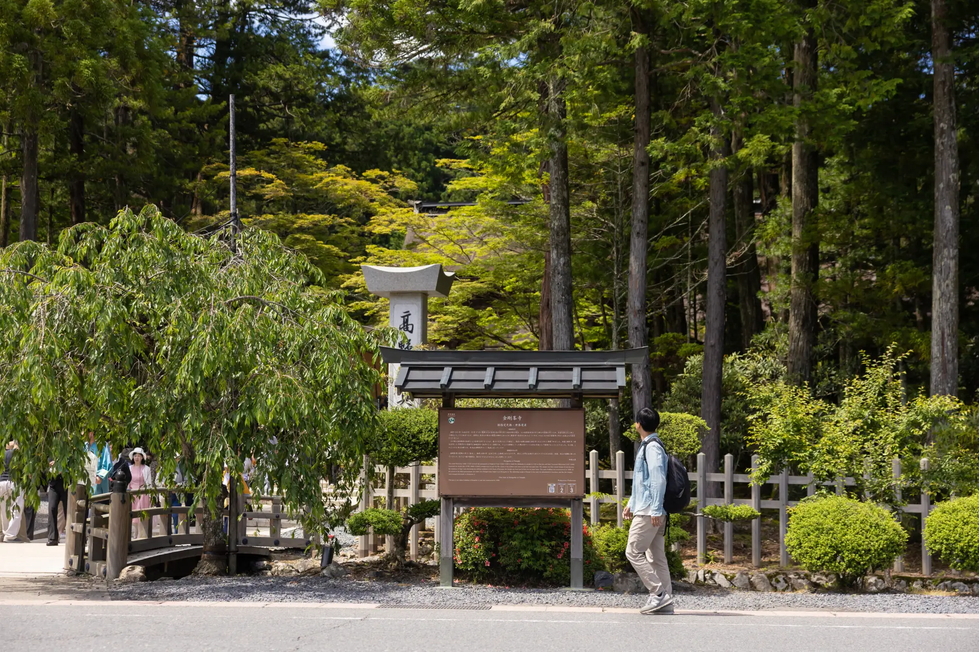 The Six Sacred Trees of Koyasan, including cedar and hinoki cypress trees protected since ancient times, shape the townscape.