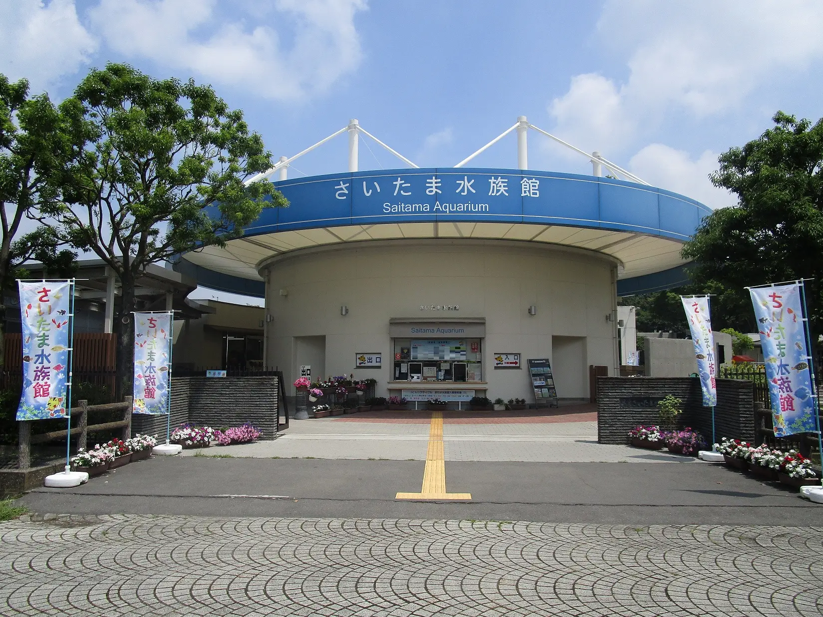 埼玉の川や水辺の生き物を楽しく学べる水族館