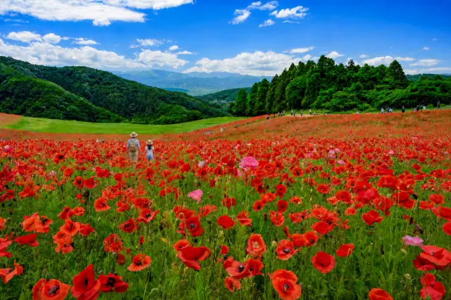 Fun and Learning for the Whole Family: 15 Family-Friendly Attractions in Saitama