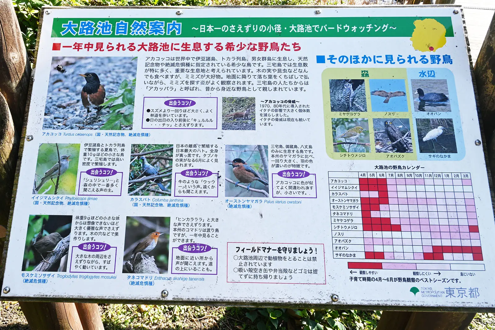 鳥類眾多的大路池北側設有介紹當地鳥類的看板