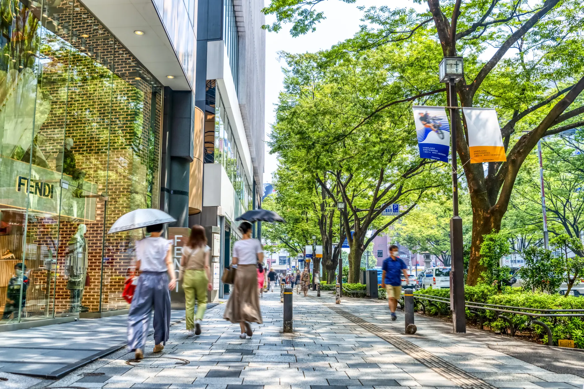ケヤキ並木が続く表参道は、散策も楽しめる人気エリア