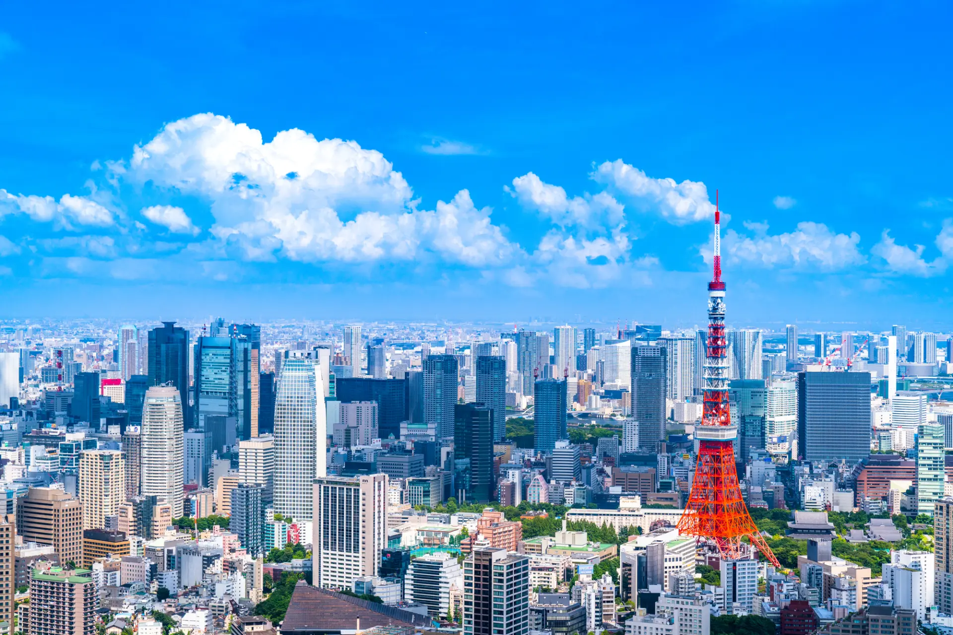 高さ333メートルの東京のシンボル