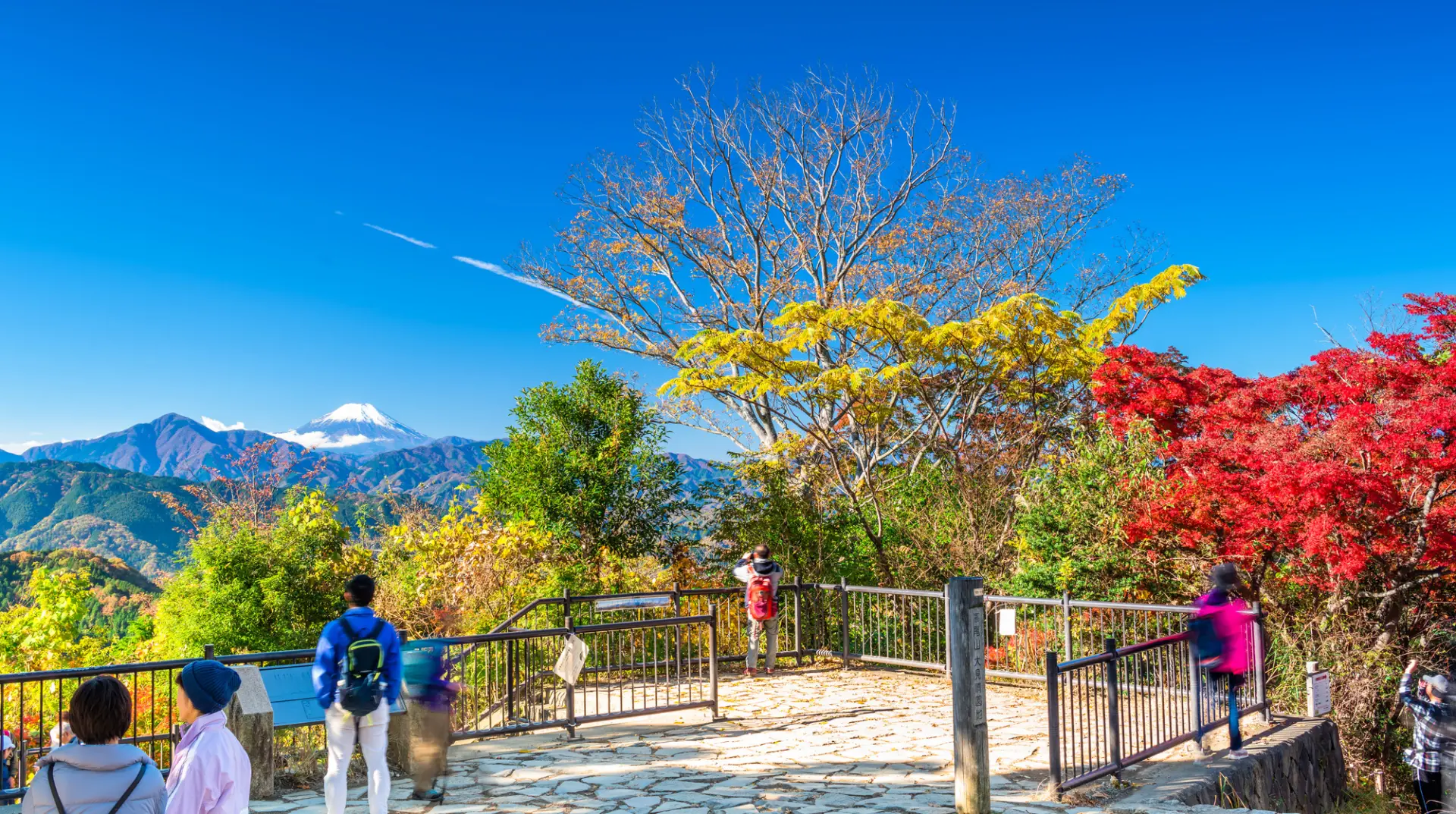 ミシュラン三つ星観光地としても知られる高尾山