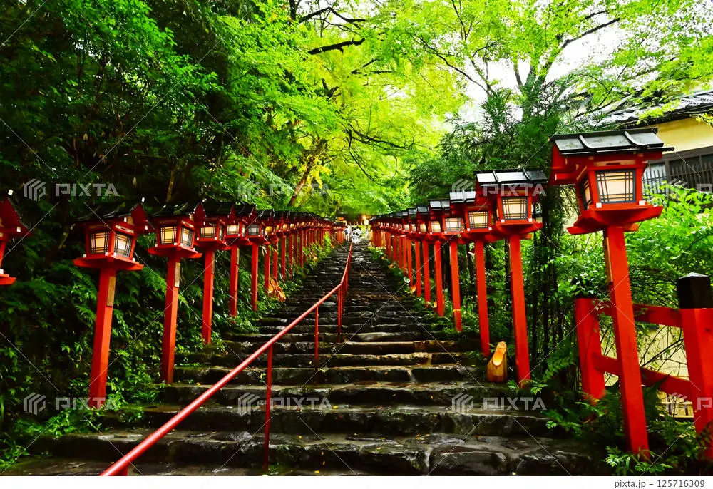 木漏れ日に包まれた貴船神社の参道に、朱塗りの灯籠が美しく並ぶ