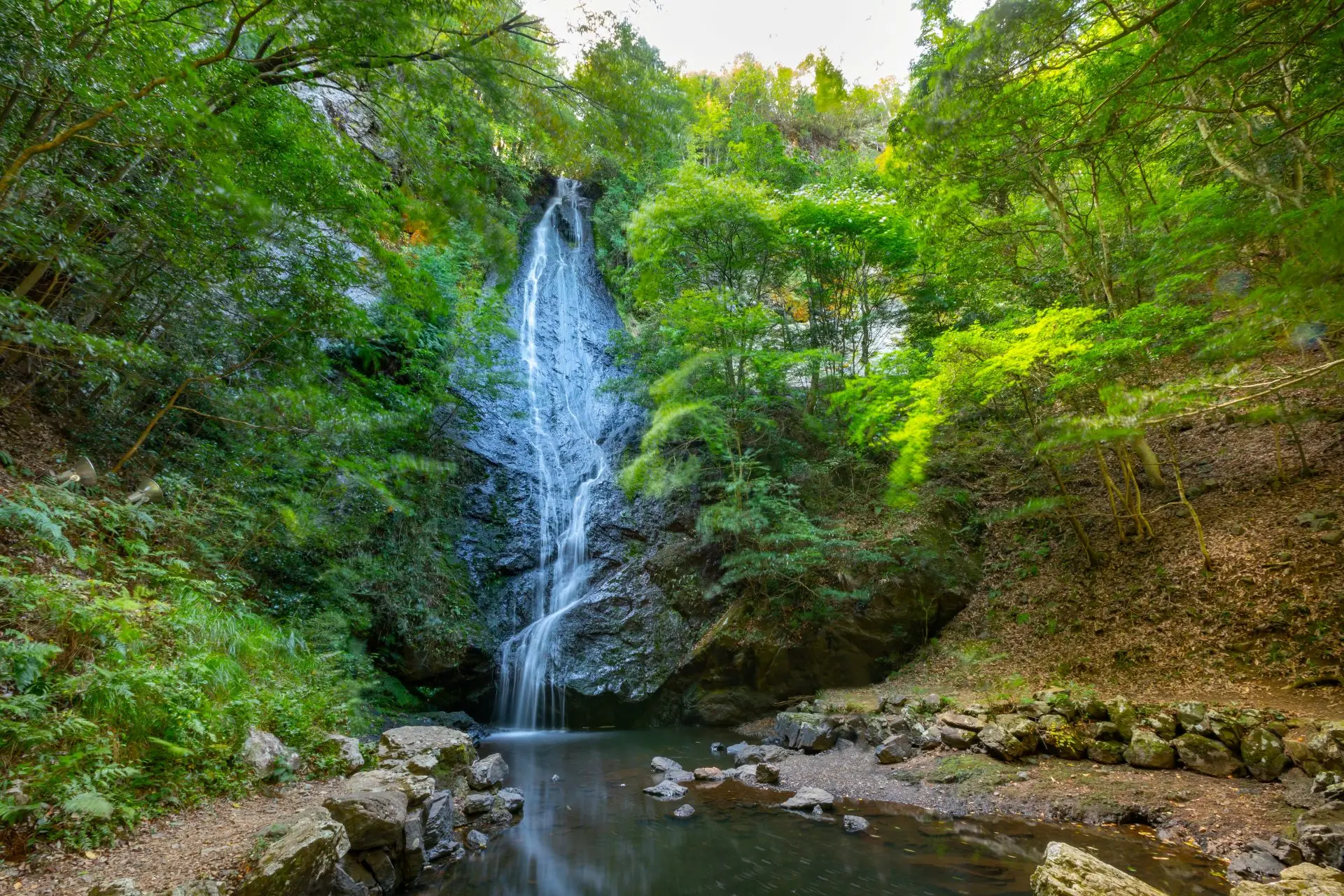 細く美しい水流が、巨大な一枚岩の上を滑るように流れ落ちる