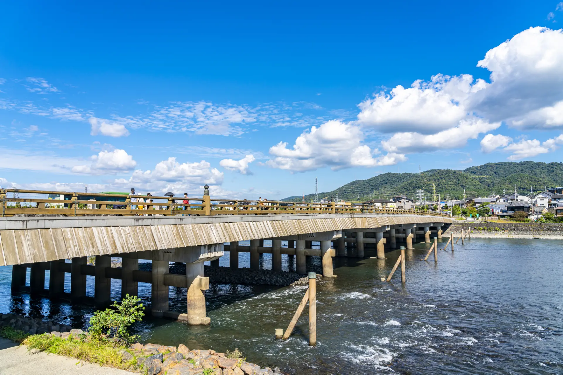 宇治川の流れを眺めながら、夏の水辺を散策できる