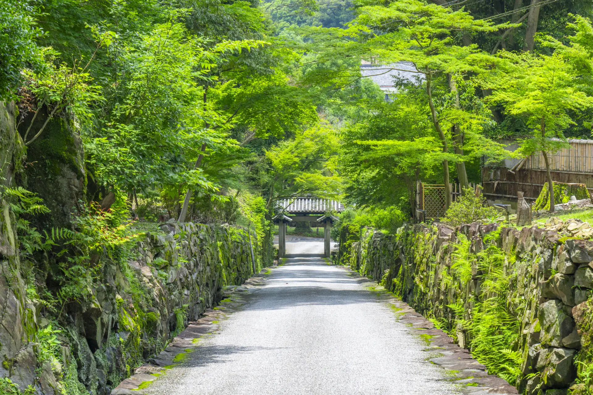 小川のせせらぎが琴の音のように聞こえたことから名付けられた「琴坂」