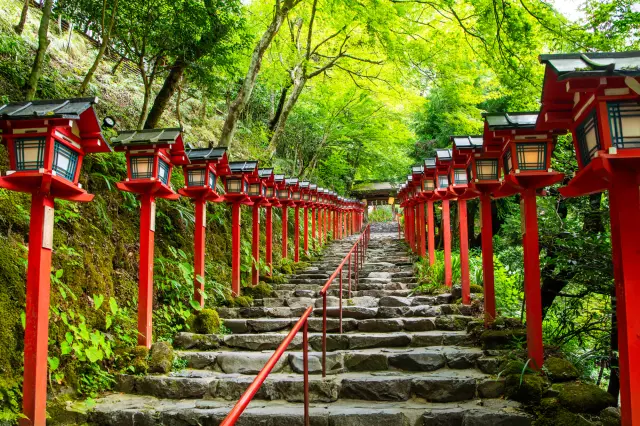 木漏れ日に包まれた貴船神社の参道に、朱塗りの灯籠が美しく並ぶ