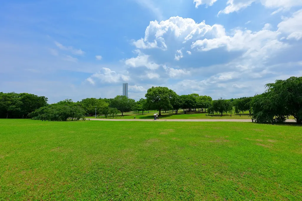 緩やかな起伏と木陰が心地よい「大芝生広場」