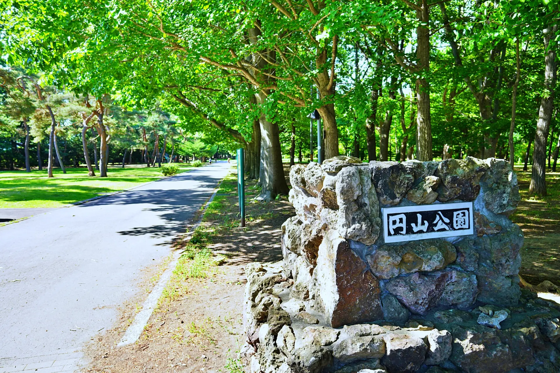 豊かな木々に包まれ、散策路が続く円山公園