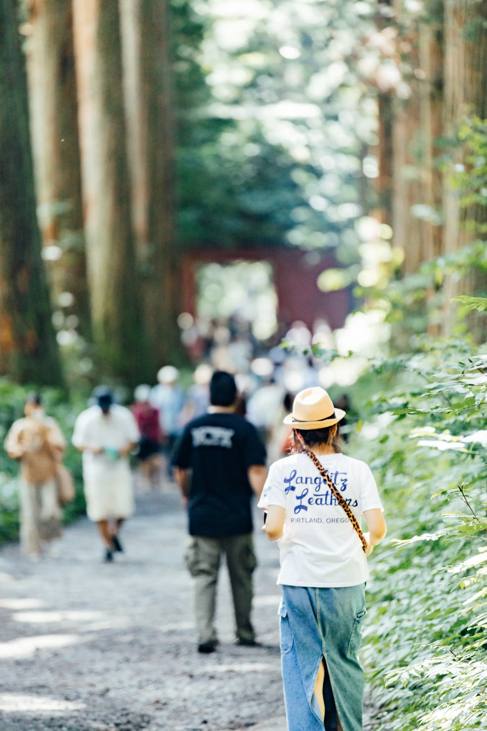 奥社参道は徒歩約40分。無理のないペースで歩こう